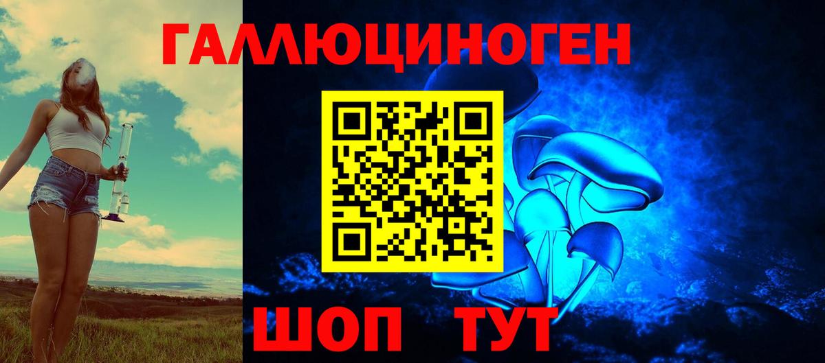 Карпинск  Псилоцибиновые грибы прущие грибы  Вход с VPN 